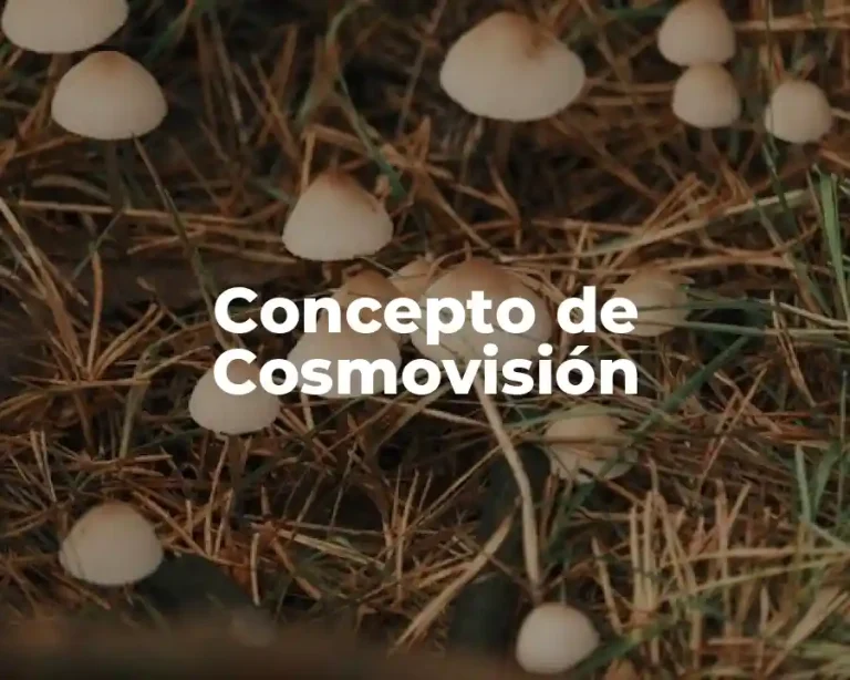 Concepto de Cosmovisión