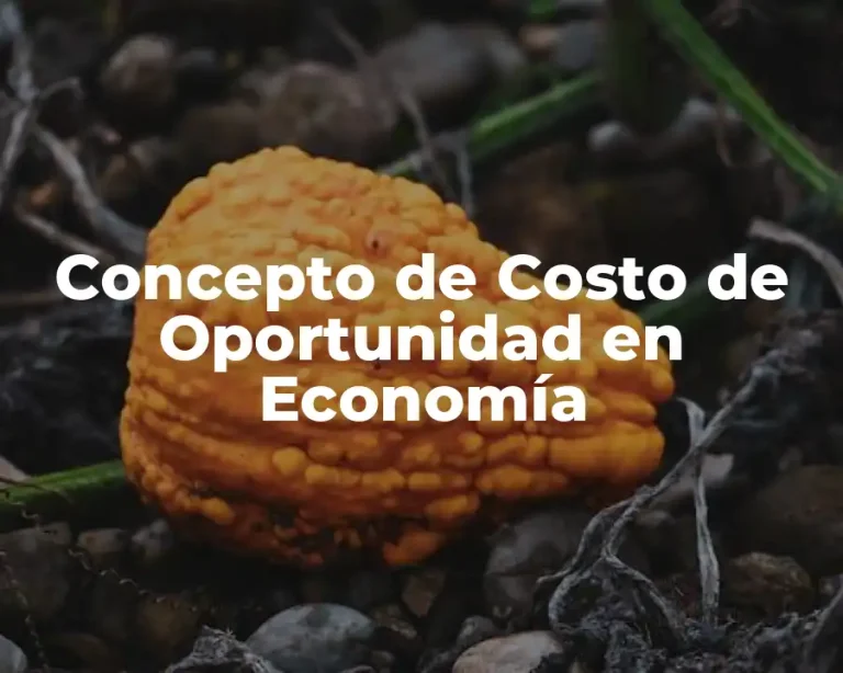 Concepto de Costo de Oportunidad en Economía