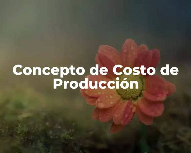 Concepto de Costo de Producción