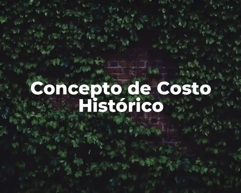 Concepto de Costo Histórico