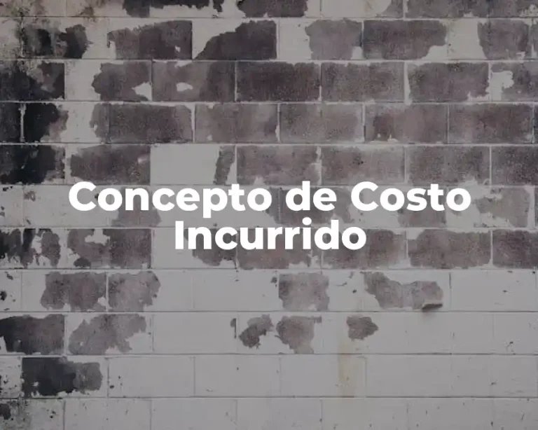 Concepto de Costo Incurrido