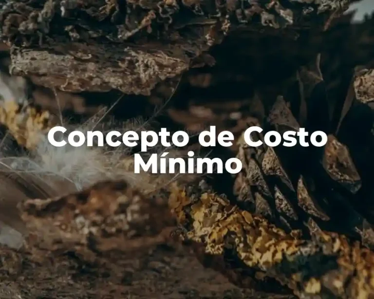 Concepto de Costo Mínimo