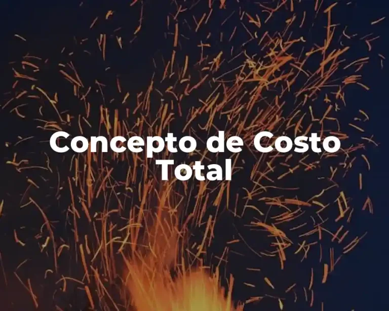 Concepto de Costo Total