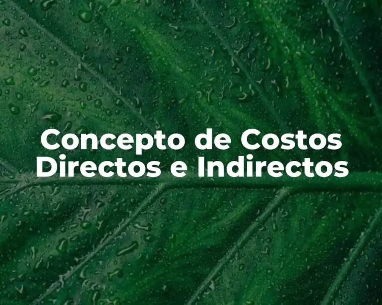 Concepto de Costos Directos e Indirectos