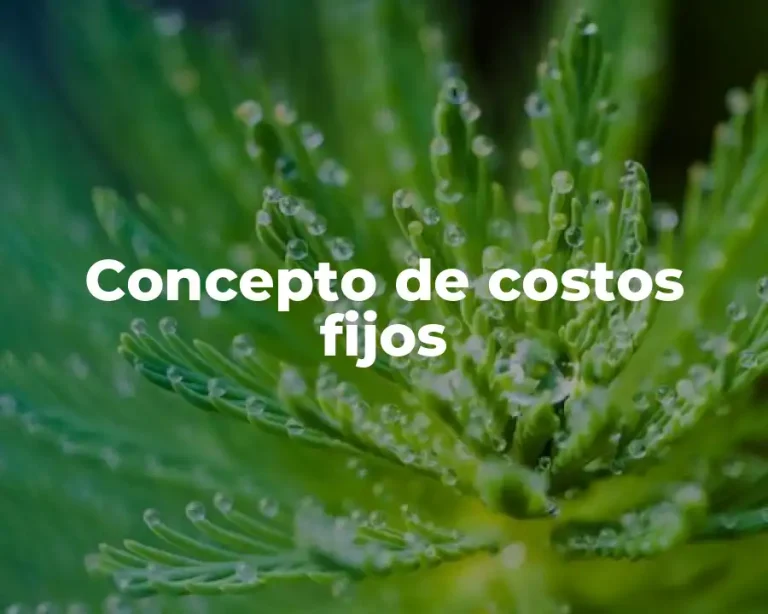 Concepto de costos fijos