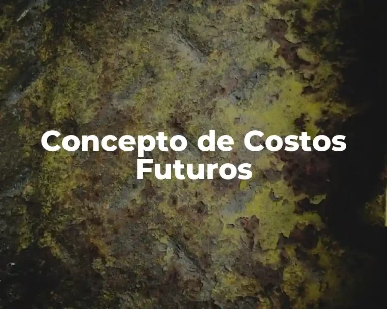 Concepto de Costos Futuros