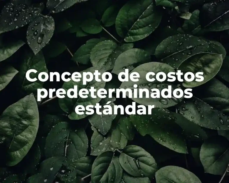 Concepto de costos predeterminados estándar