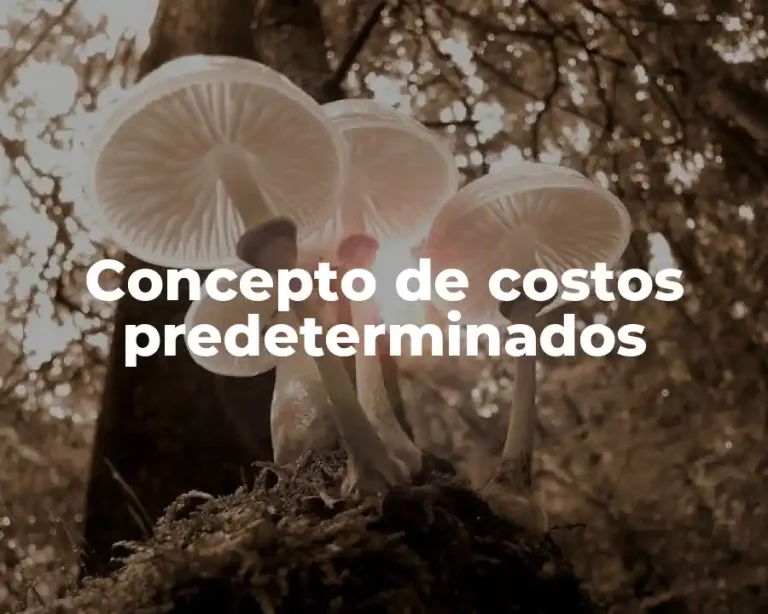 Concepto de costos predeterminados