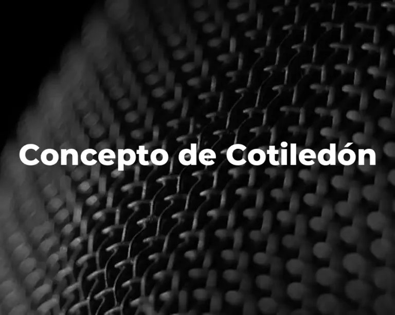 Concepto de Cotiledón