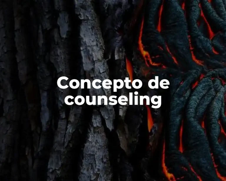 Concepto de counseling