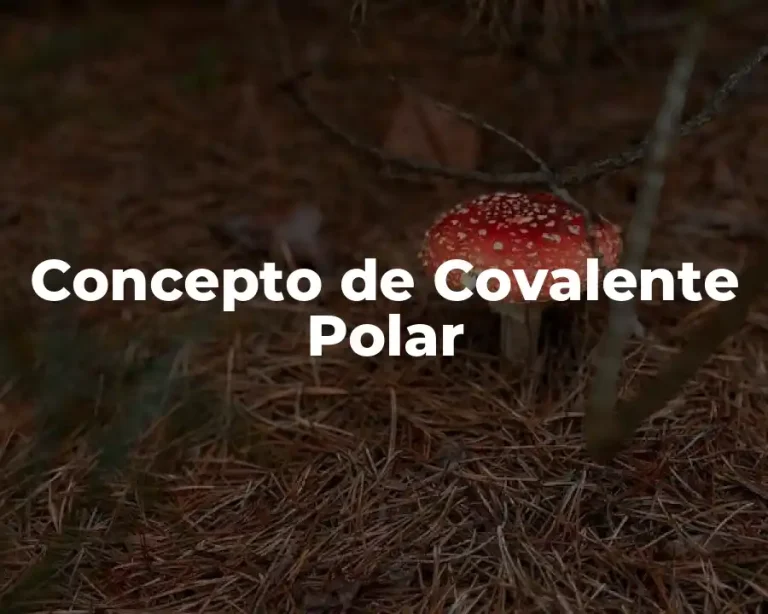 Concepto de Covalente Polar