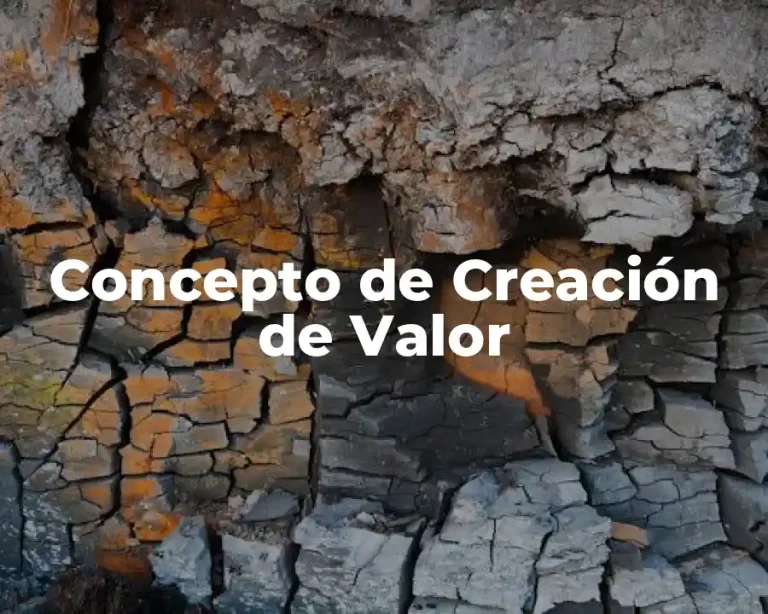 Concepto de Creación de Valor