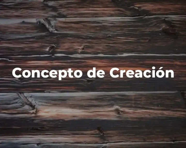 Concepto de Creación