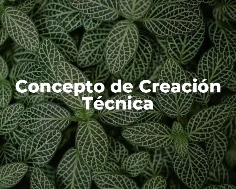 Concepto de Creación Técnica