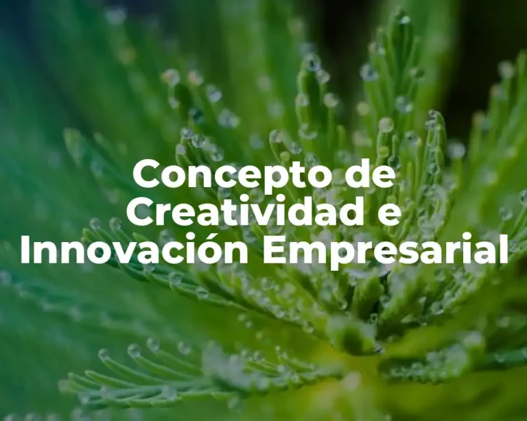 Concepto de Creatividad e Innovación Empresarial