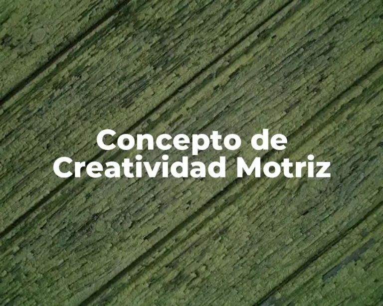 Concepto de Creatividad Motriz