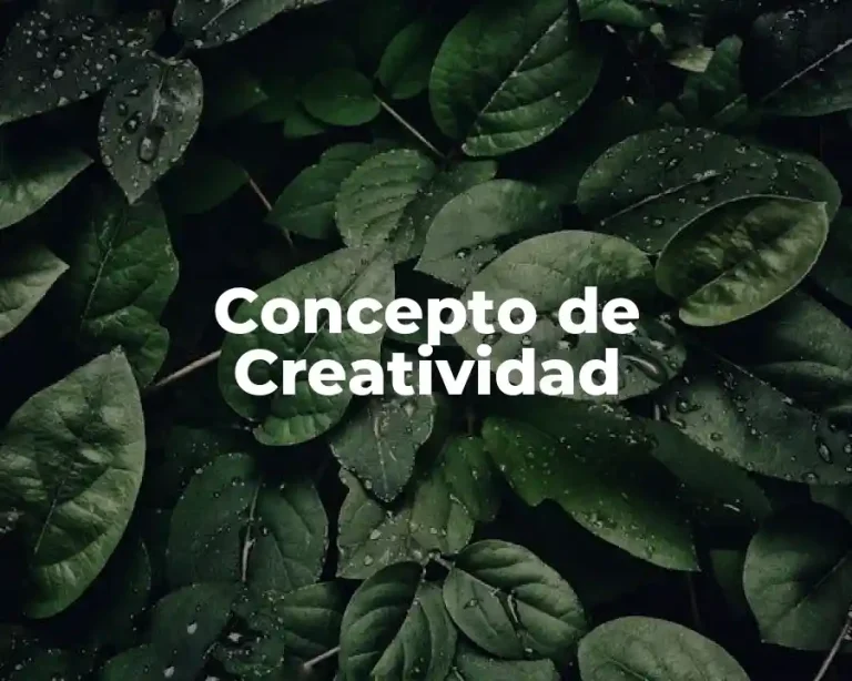 Concepto de Creatividad