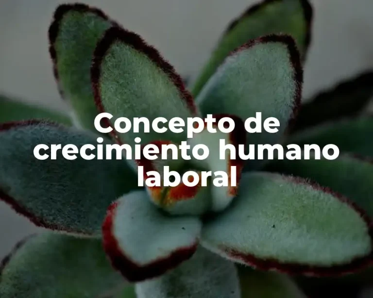 Concepto de crecimiento humano laboral