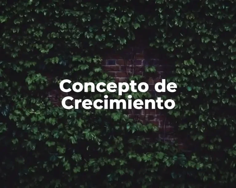 Concepto de Crecimiento