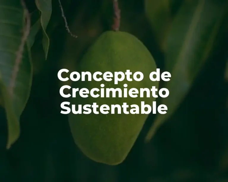 Concepto de Crecimiento Sustentable