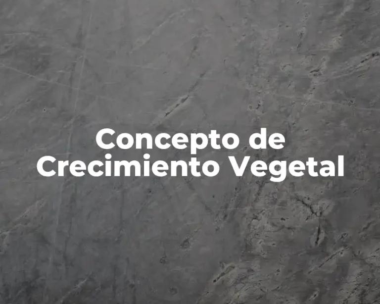 Concepto de Crecimiento Vegetal