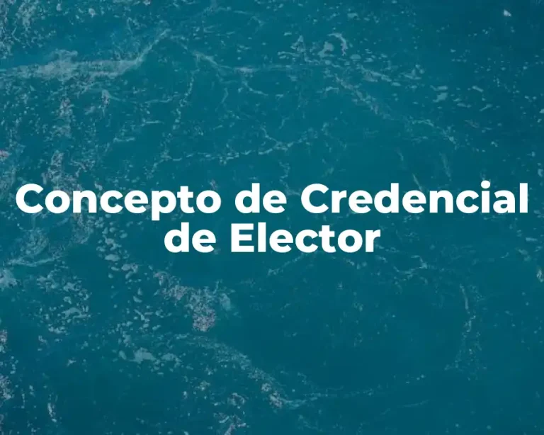 Concepto de Credencial de Elector