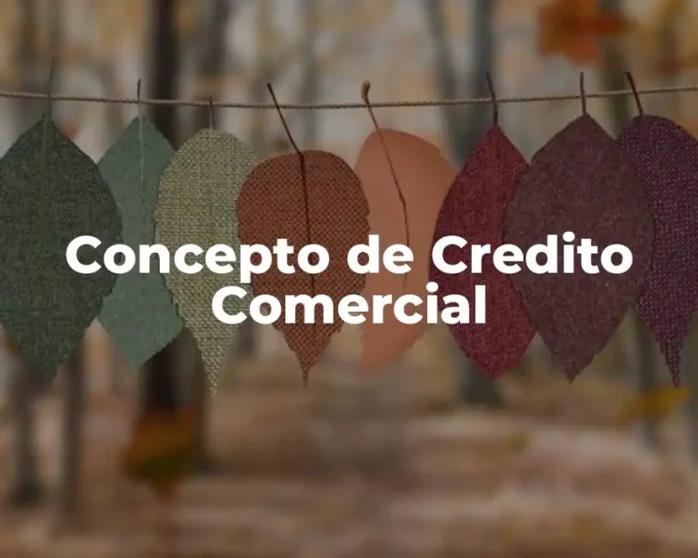 Concepto de Credito Comercial