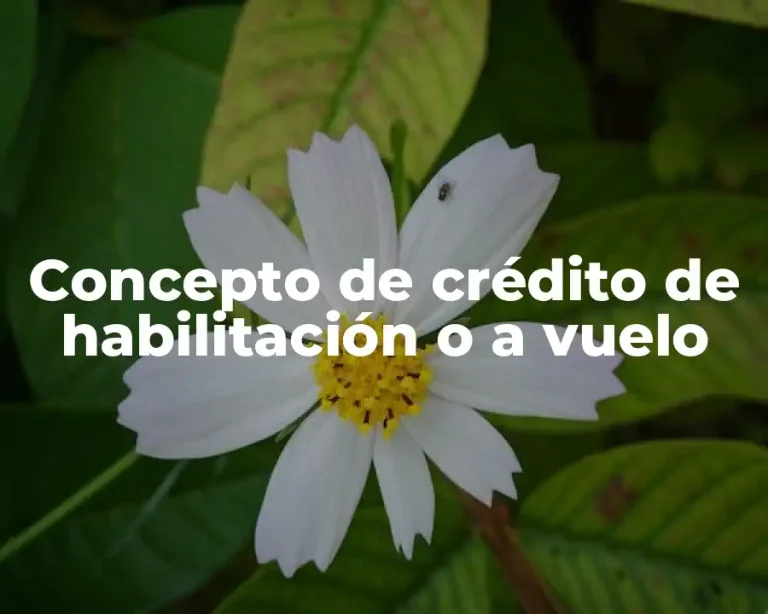 Concepto de crédito de habilitación o a vuelo