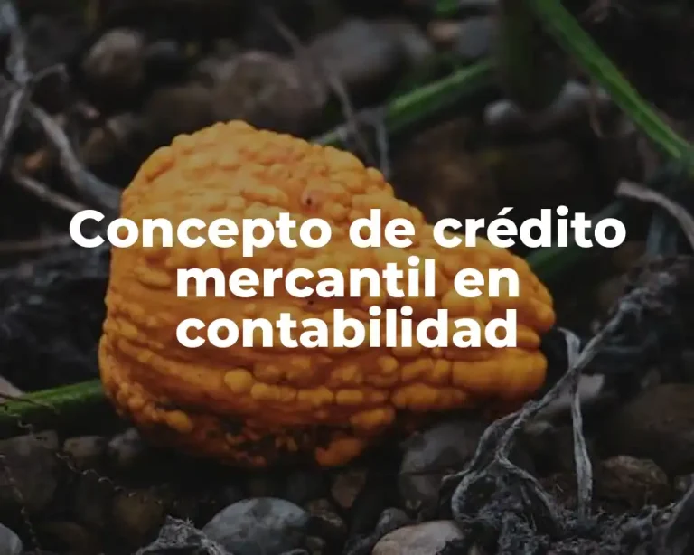 Concepto de crédito mercantil en contabilidad