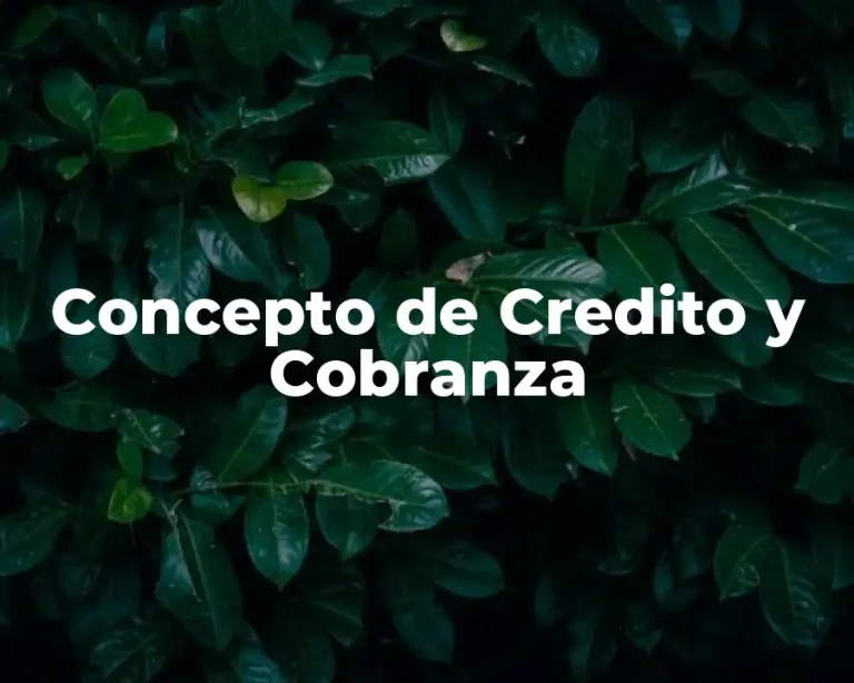Concepto de Credito y Cobranza