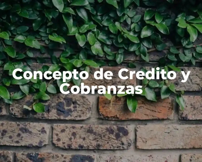 Concepto de Credito y Cobranzas