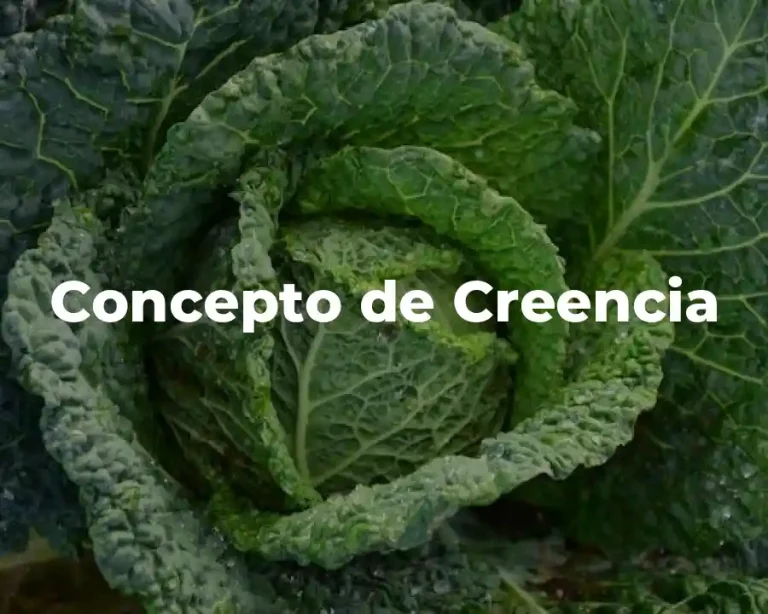 Concepto de Creencia