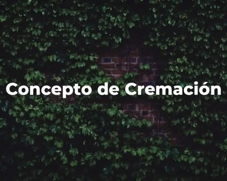 Concepto de Cremación