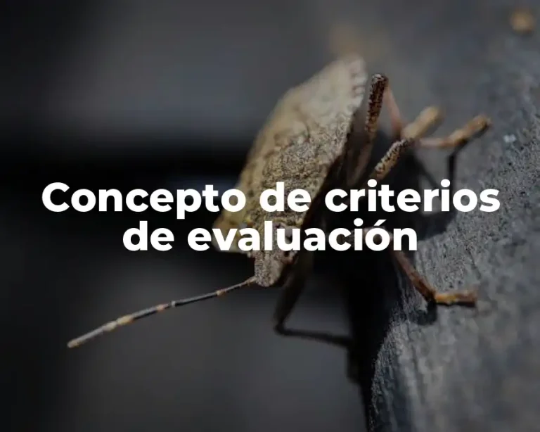 Concepto de criterios de evaluación