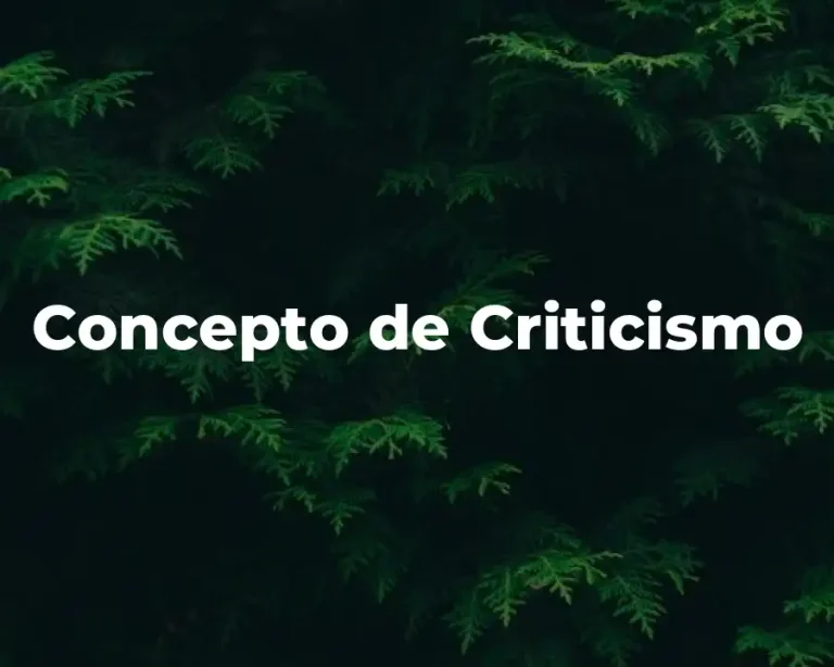 Concepto de Criticismo