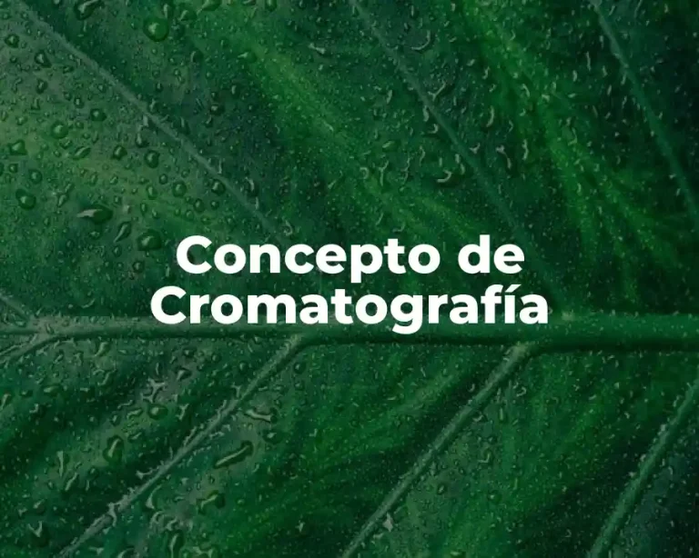 Concepto de Cromatografía