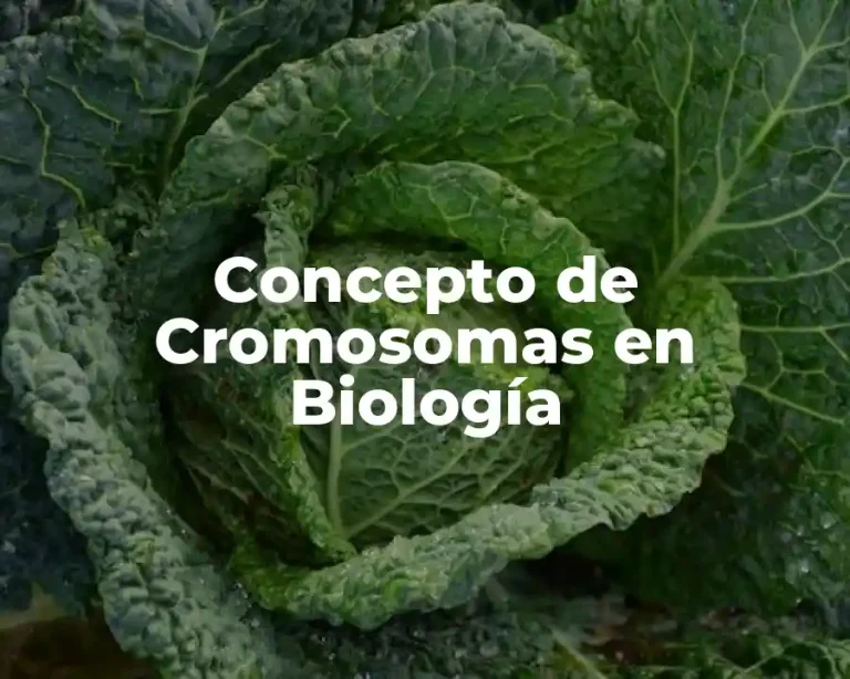 Concepto de Cromosomas en Biología