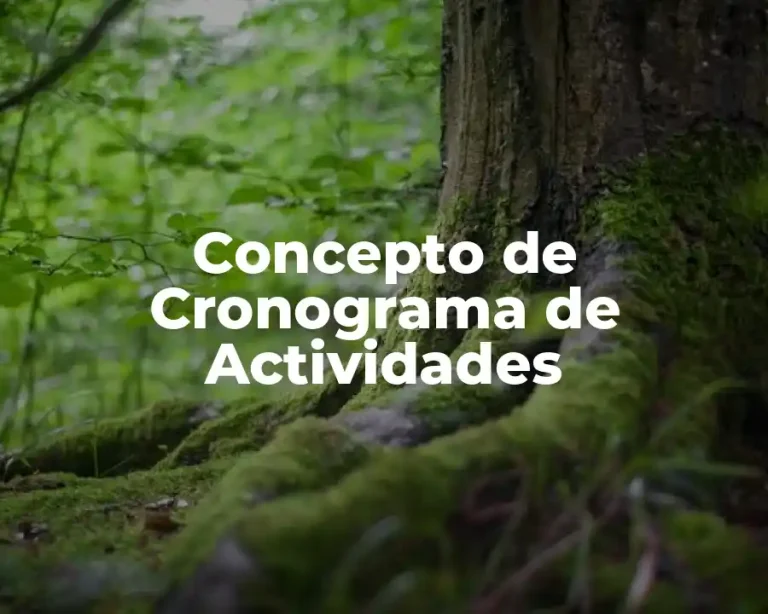 Concepto de Cronograma de Actividades