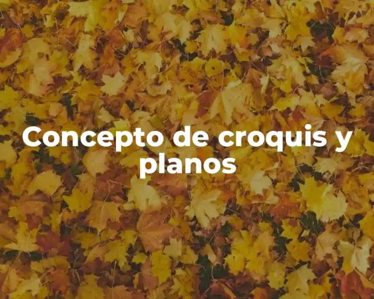 Concepto de croquis y planos