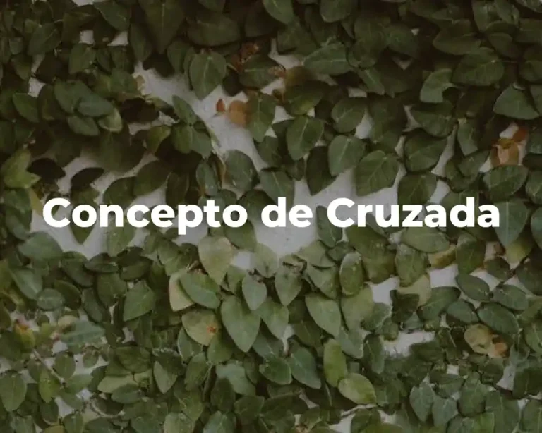 Concepto de Cruzada