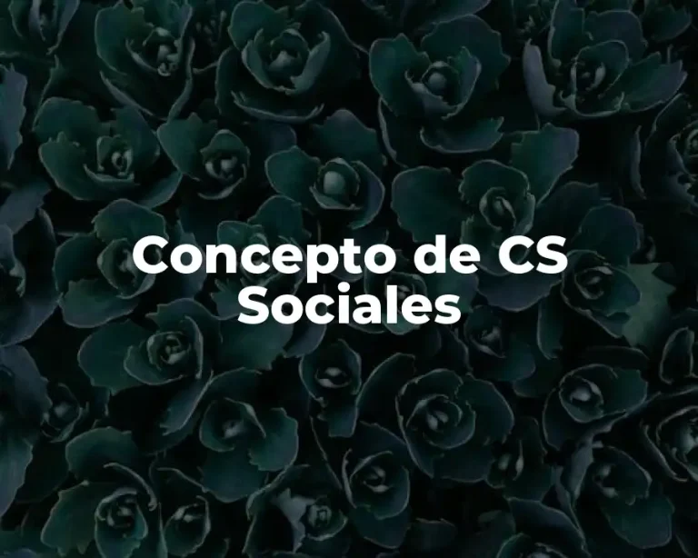 Concepto de CS Sociales