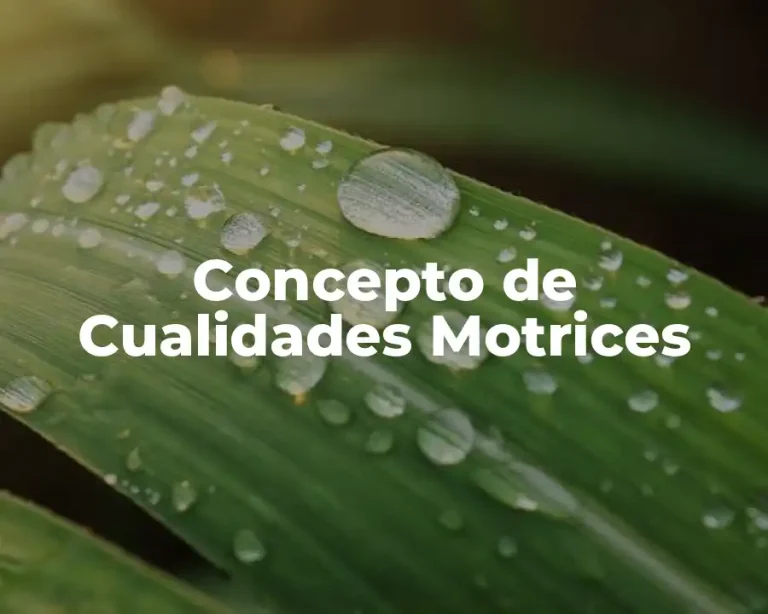 Concepto de Cualidades Motrices