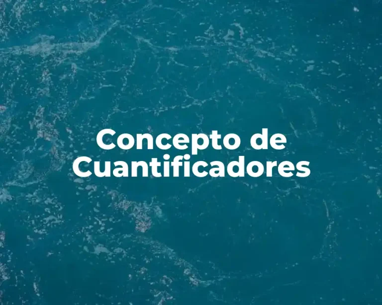 Concepto de Cuantificadores