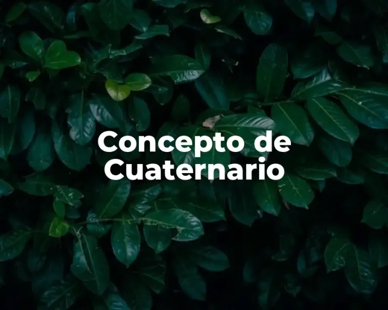 Concepto de Cuaternario