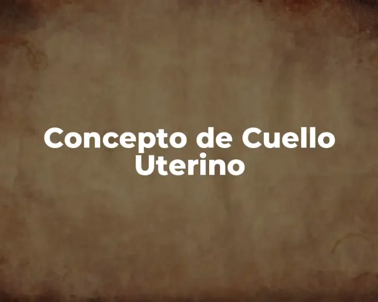 Concepto de Cuello Uterino