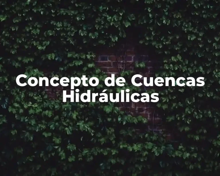 Concepto de Cuencas Hidráulicas