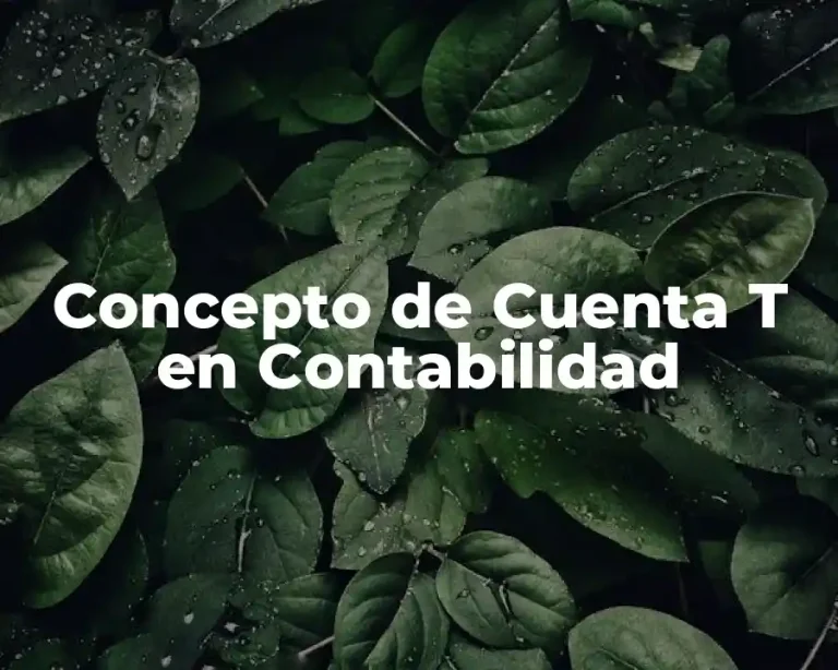 Concepto de Cuenta T en Contabilidad