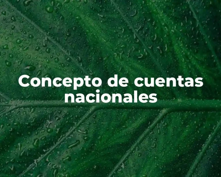 Concepto de cuentas nacionales