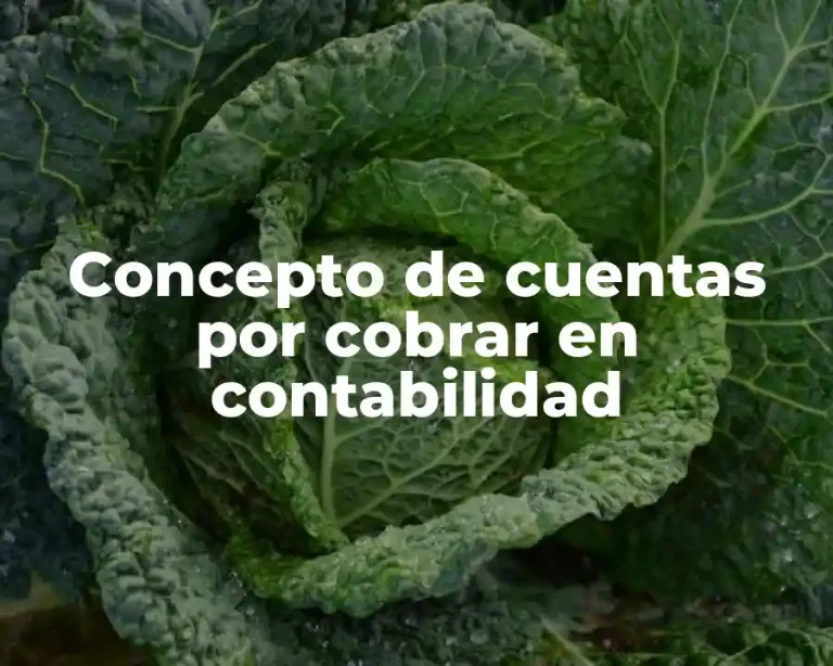 Concepto de cuentas por cobrar en contabilidad