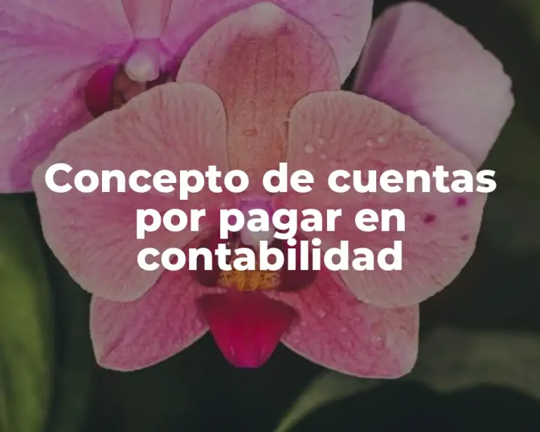 Concepto de cuentas por pagar en contabilidad